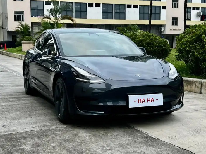 Model 3 2020 Model Facelift Standard Battery Life Rear Drive L Class Edition