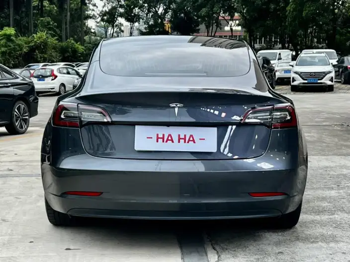 Model 3 2020 Model Facelift Standard Battery Life Rear Drive L Class Edition – фото 5