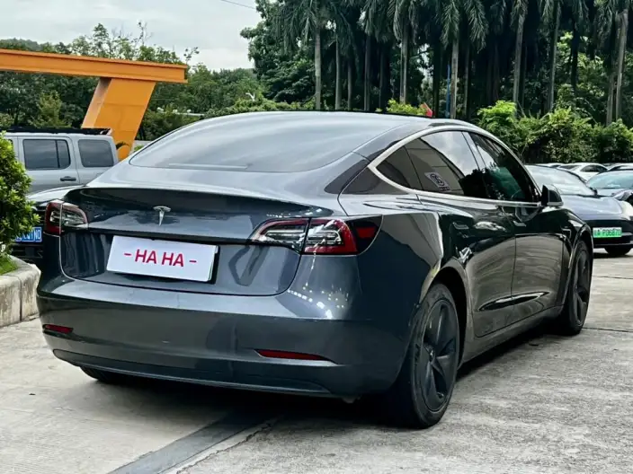 Model 3 2020 Model Facelift Standard Battery Life Rear Drive L Class Edition – фото 6