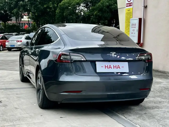 Model 3 2020 Model Facelift Standard Battery Life Rear Drive L Class Edition – фото 9
