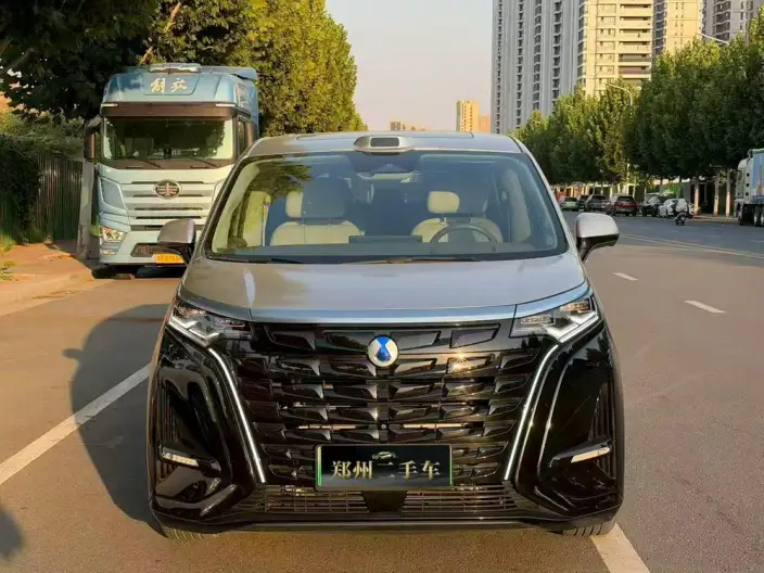 DENZA D9 DM 2022 Model 970 4WD Flagship Model – фото 2