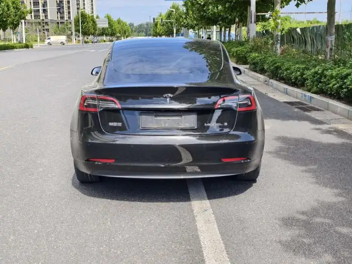 Model 3 2022 Model Rear-wheel drive version – фото 5