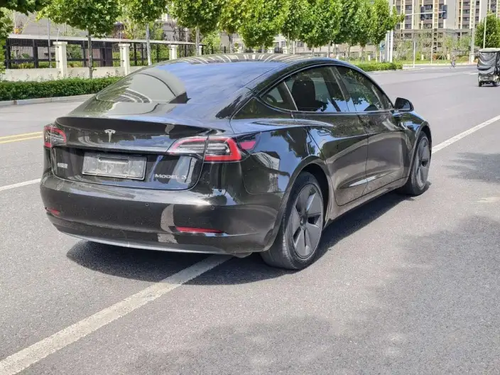 Model 3 2022 Model Rear-wheel drive version – фото 6