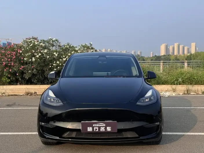 Model Y 2021 Model Standard Battery Life Rear-wheel drive version