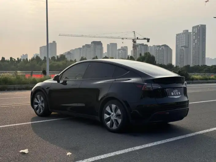 Model Y 2021 Model Standard Battery Life Rear-wheel drive version – фото 5