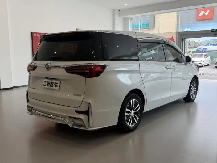 Buick GL8 2021 Model ES Luzun 653T Exclusive Model – фото 6