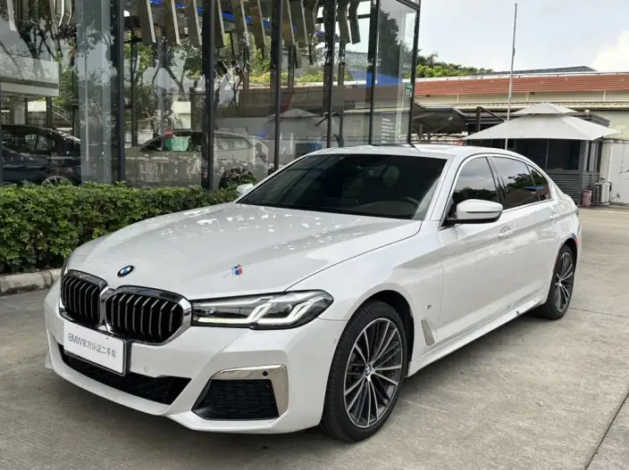 BMW 5 Series 2021 Model Facelift 530Li Leading Model M Sports Set – фото 1