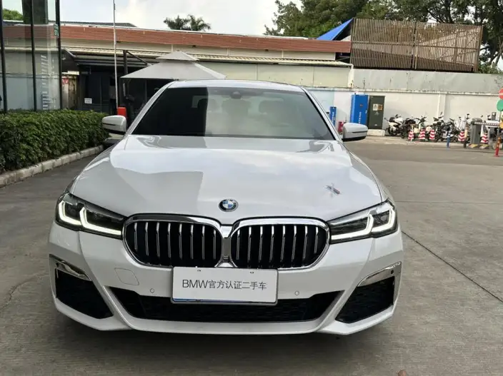 BMW 5 Series 2021 Model Facelift 530Li Leading Model M Sports Set – фото 2