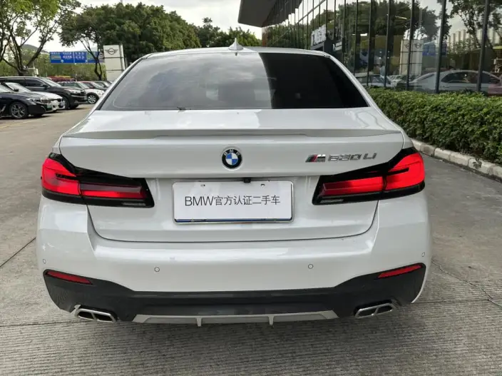 BMW 5 Series 2021 Model Facelift 530Li Leading Model M Sports Set – фото 4