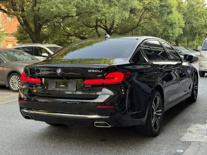 BMW 5 Series 2021 Model Facelift 530Li Leading Model Luxury Set – фото 6