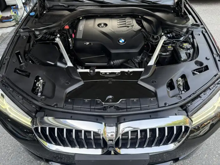 BMW 5 Series 2021 Model Facelift 530Li Leading Model Luxury Set – фото 7