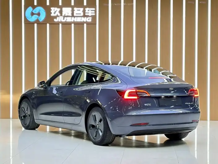 Model 3 2021 Model Standard Battery Life Rear Drive L Class Edition 3D6