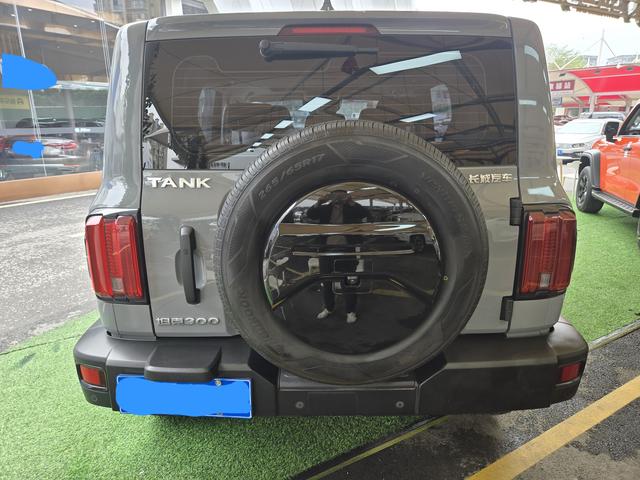 Great Wall Tank 300 2021 Off-Road 2.0T Conqueror – фото 8