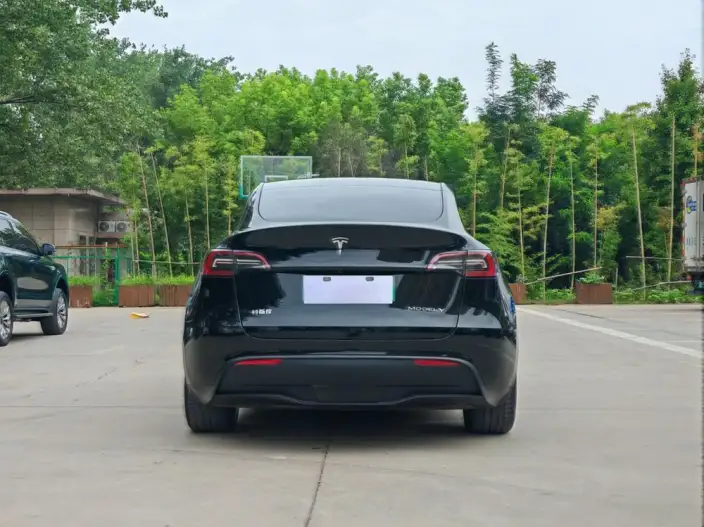 Model Y 2023 Model Long Battery Life Pro All-wheel drive version – фото 5