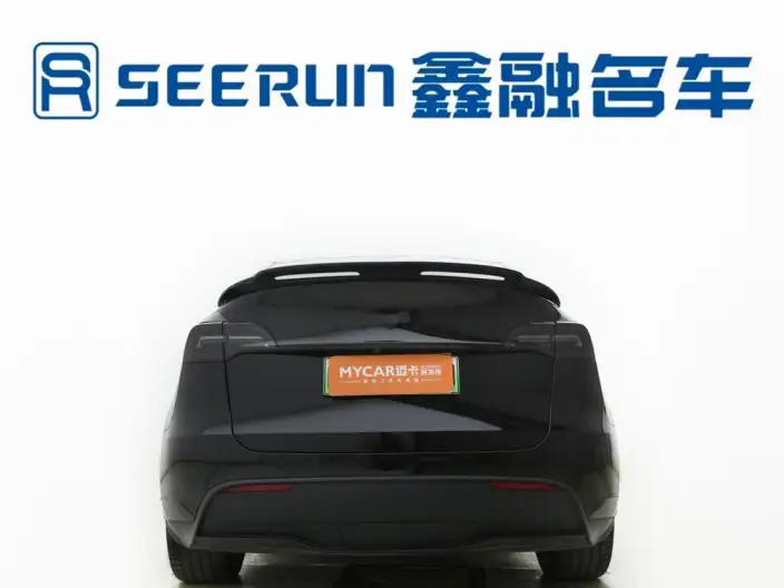 Model Y 2022 Model Facelift Rear-wheel drive version – фото 6