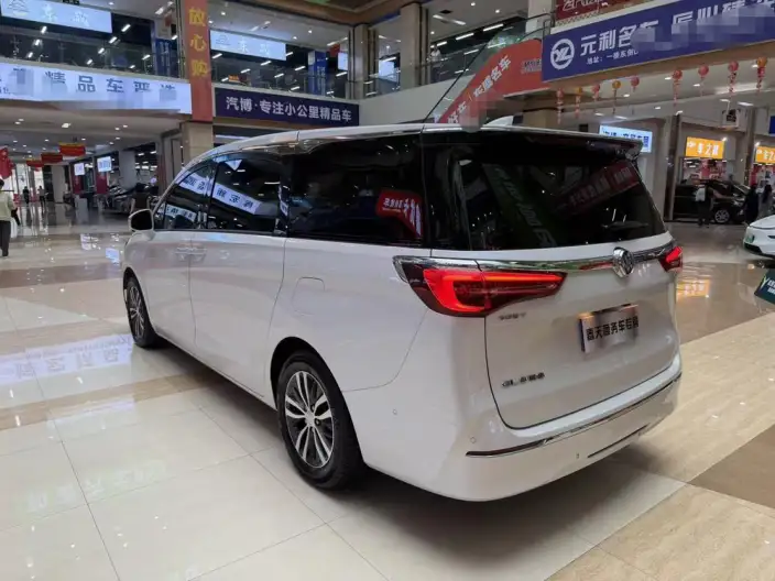Buick GL8 2021 Model ES Luzun 653T Exclusive Model – фото 5