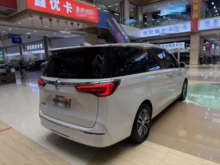 Buick GL8 2021 Model ES Luzun 653T Exclusive Model – фото 7