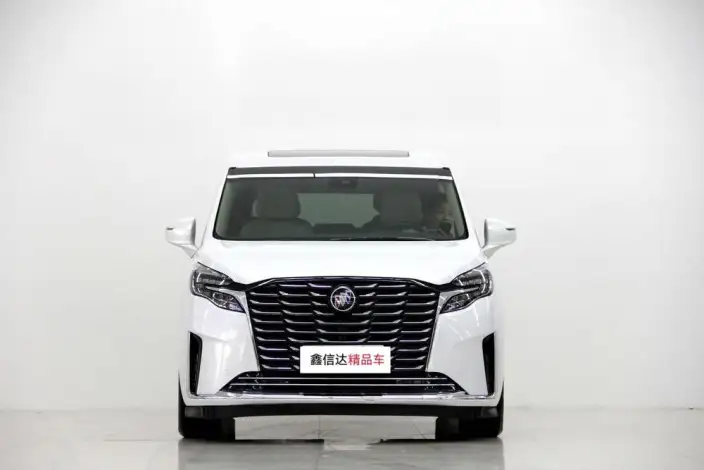 Buick GL8 2023 Model ES Luzun 2.0T Exclusive Model