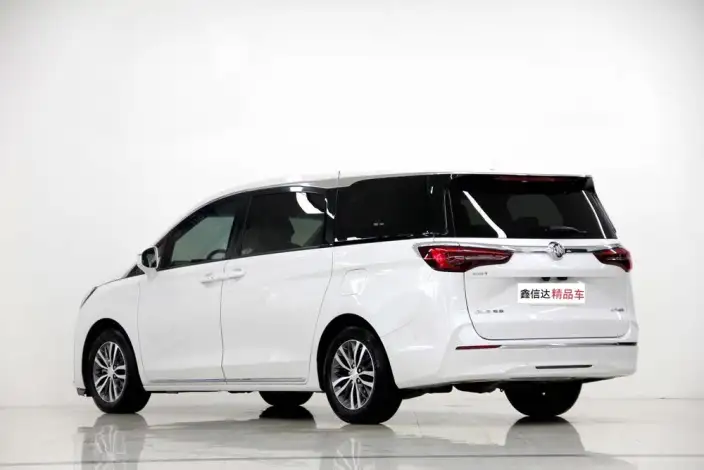 Buick GL8 2023 Model ES Luzun 2.0T Exclusive Model