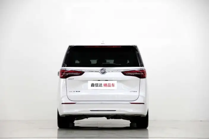 Buick GL8 2023 Model ES Luzun 2.0T Exclusive Model – фото 5