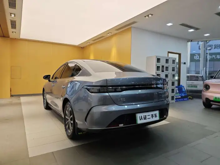 BYD Destroyer 05 2023 Model DM-i Champion Edition 55KM Luxury Model – фото 7