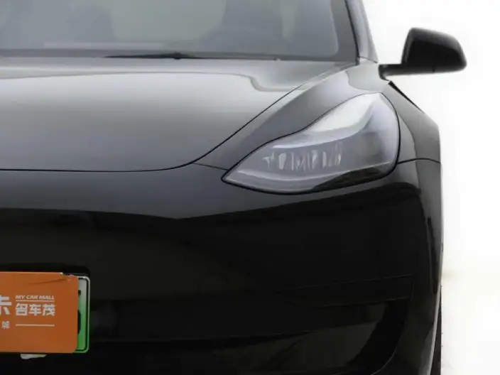 Model 3 2022 Model Rear-wheel drive version – фото 6