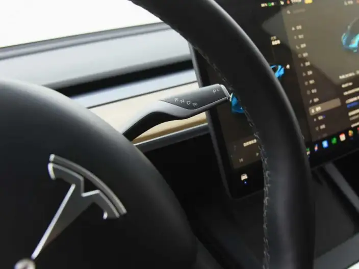 Model 3 2022 Model Rear-wheel drive version – фото 9