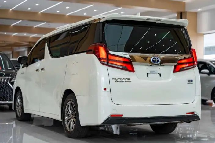 Elfa 2021 Model Hybrid 2.5L Premium Edition – фото 4