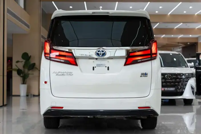 Elfa 2021 Model Hybrid 2.5L Premium Edition – фото 5