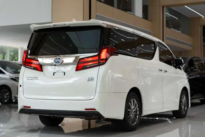 Elfa 2021 Model Hybrid 2.5L Premium Edition – фото 6