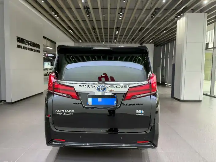 Elfa 2021 Model Hybrid 2.5L Premium Edition – фото 5