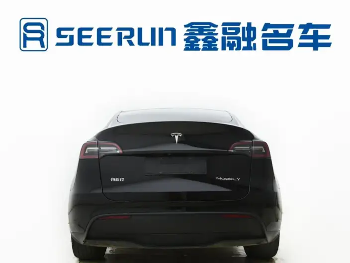 Model Y 2022 Model Facelift Rear-wheel drive version