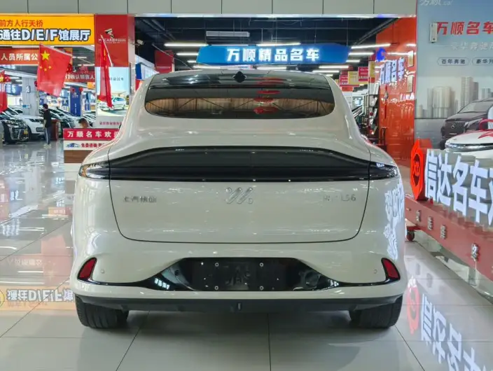 IM LS6 2023 Model Max Standard Edition – фото 5