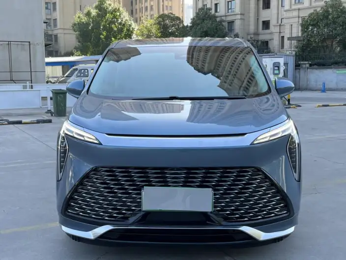 Century 2023 Model 2.0T VII seat Yunshi Edition