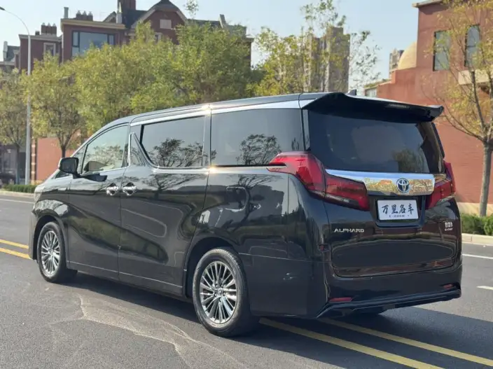 Elfa 2021 Model Hybrid 2.5L Deluxe Edition – фото 5
