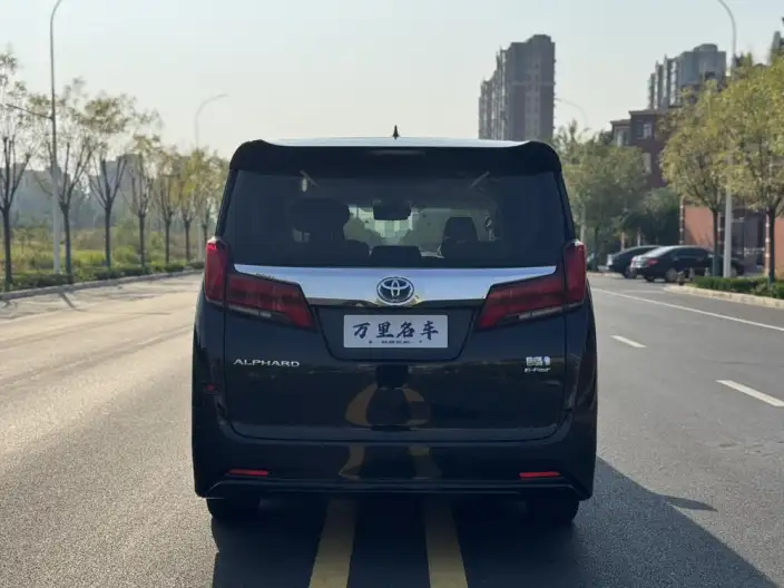 Elfa 2021 Model Hybrid 2.5L Deluxe Edition – фото 6