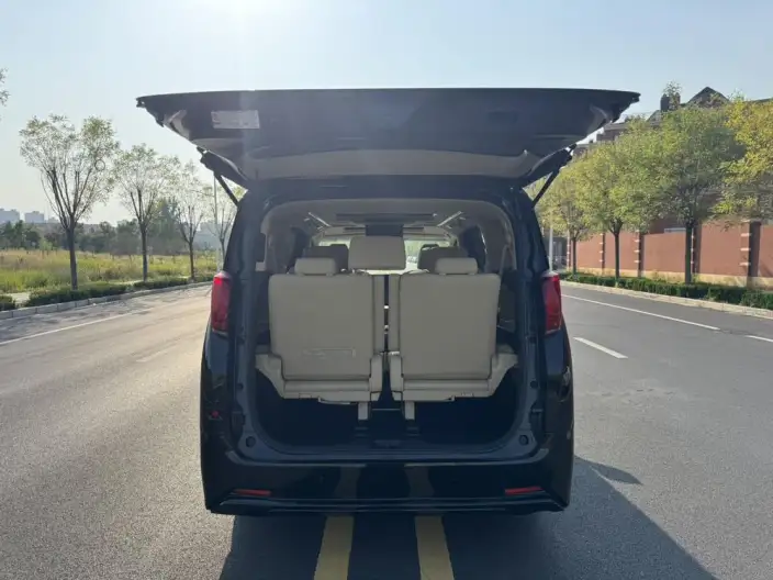 Elfa 2021 Model Hybrid 2.5L Deluxe Edition – фото 9