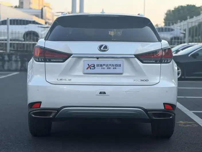 Lexus RX 2020 Model Facelift 300 2WD Comfort Edition – фото 5