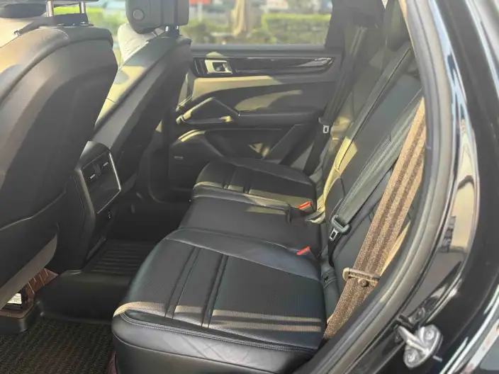 Cayenne E-Hybrid 2021 Model Cayenne E-Hybrid 2.0T – фото 9