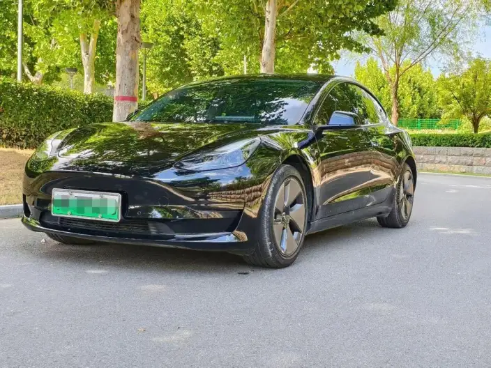 Model 3 2022 Model Rear-wheel drive version – фото 1