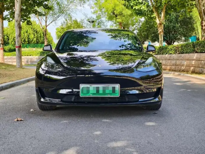 Model 3 2022 Model Rear-wheel drive version – фото 2