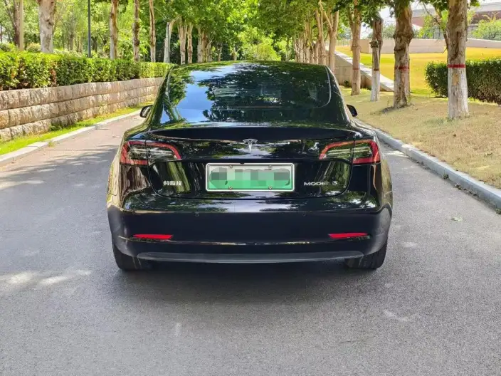Model 3 2022 Model Rear-wheel drive version – фото 4