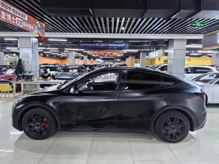 Model Y 2024 Model Rear-wheel drive version – фото 3