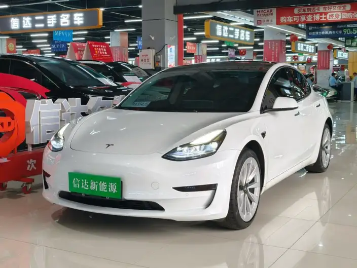 Model 3 2022 Model Rear-wheel drive version – фото 1
