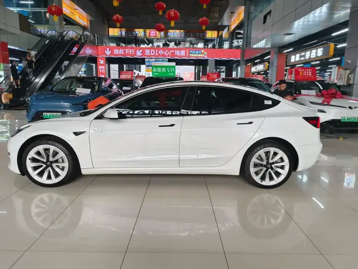 Model 3 2022 Model Rear-wheel drive version – фото 4