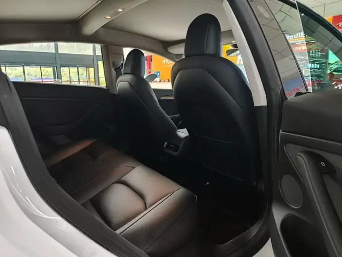 Model 3 2022 Model Rear-wheel drive version – фото 10