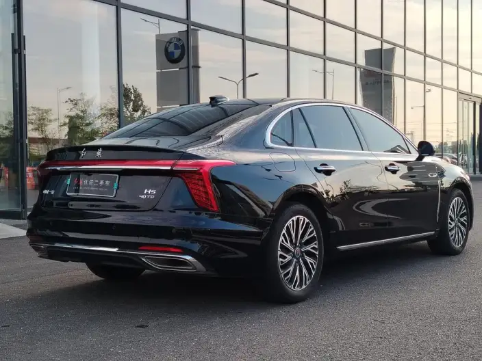 Hongqi H5 2025 Model 2.0T Automatic Flag Enjoy Edition – фото 5