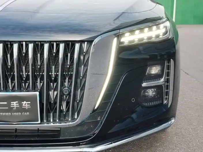Hongqi H5 2025 Model 2.0T Automatic Flag Enjoy Edition – фото 9