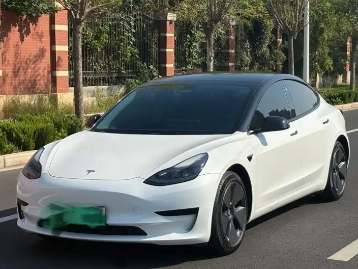 Model 3 2022 Model Rear-wheel drive version – фото 1