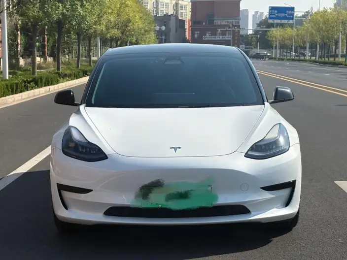 Model 3 2022 Model Rear-wheel drive version – фото 2